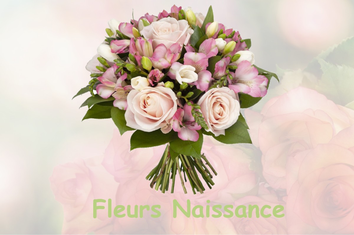 fleurs naissance MILHAS