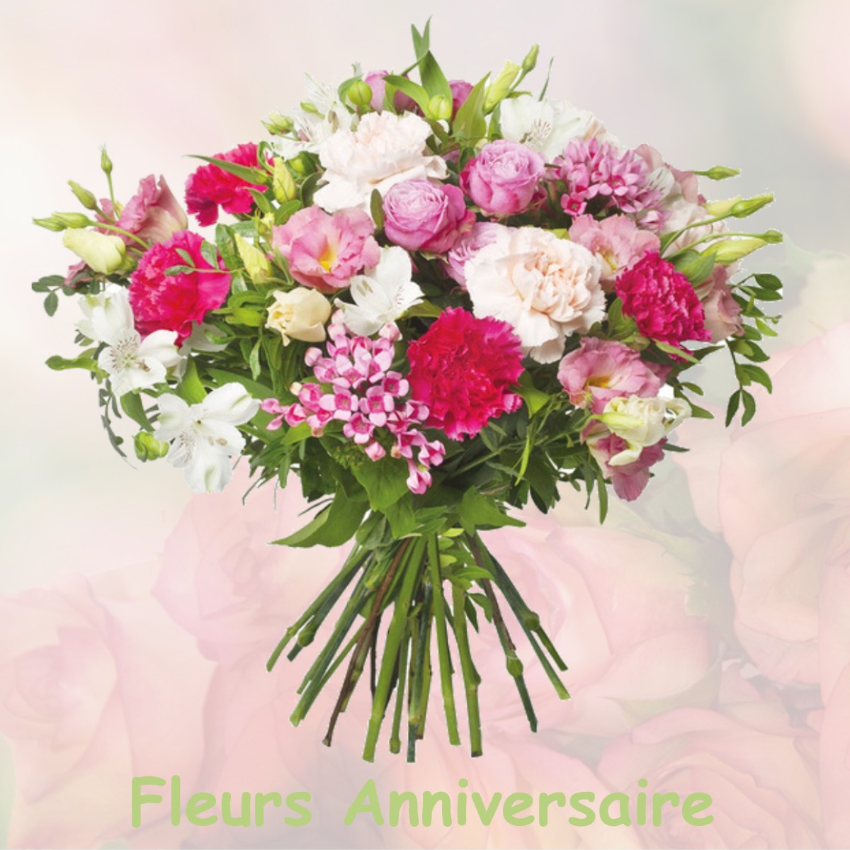 fleurs anniversaire MILHAS