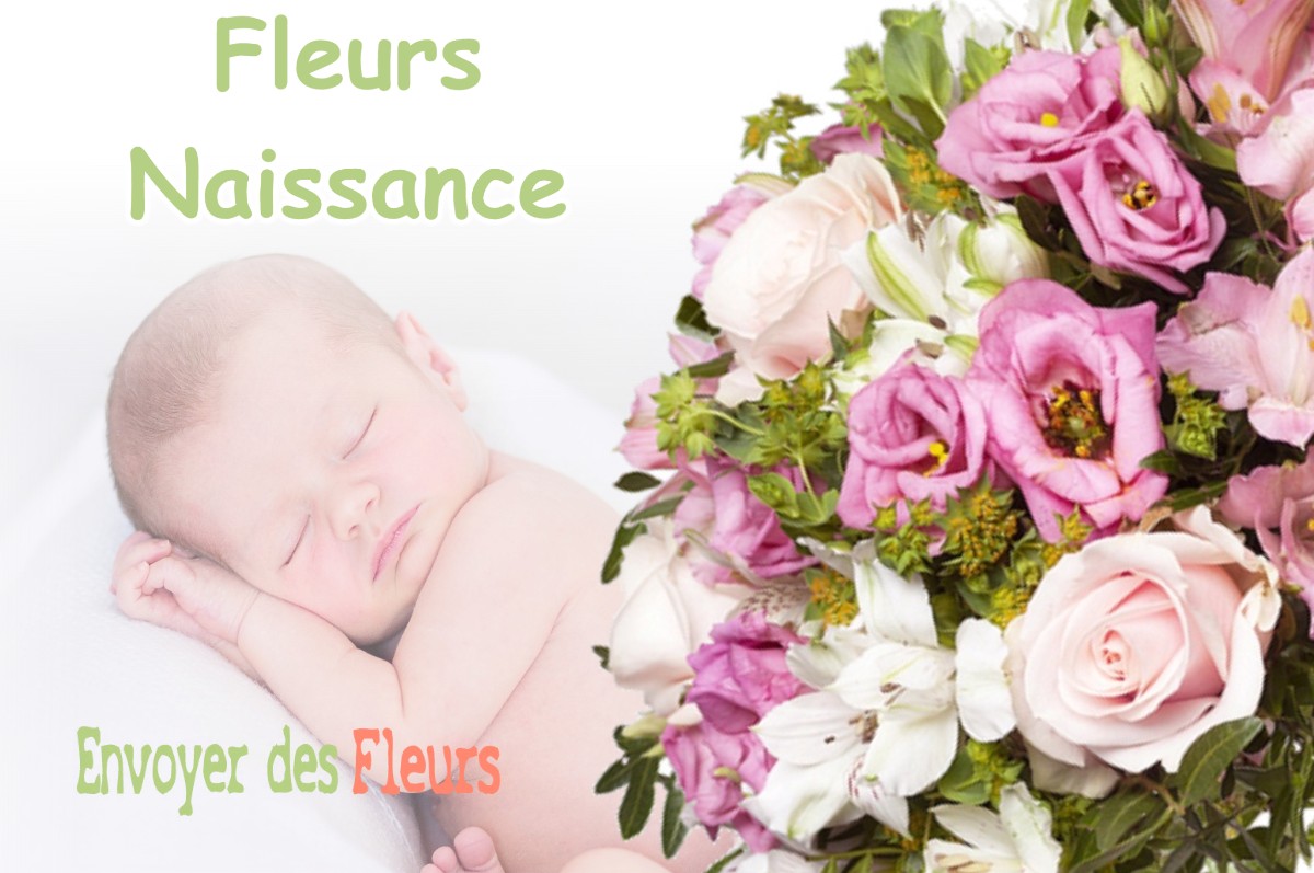 lIVRAISON FLEURS NAISSANCE à MILHAS